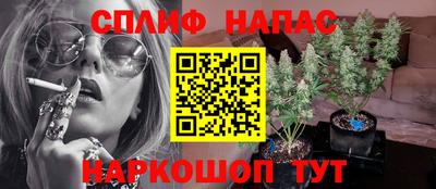 таблы Будённовск