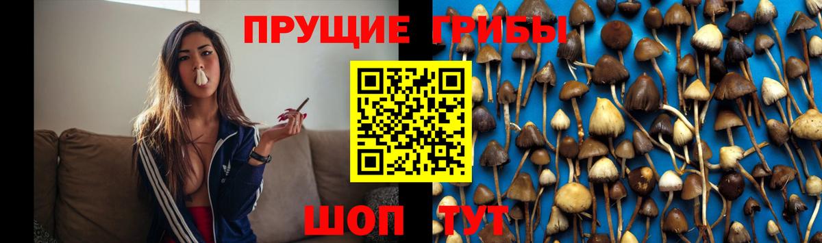 Псилоцибиновые грибы прущие грибы Свободный